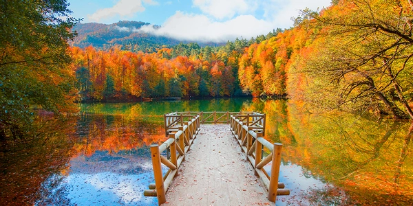 Bolu
