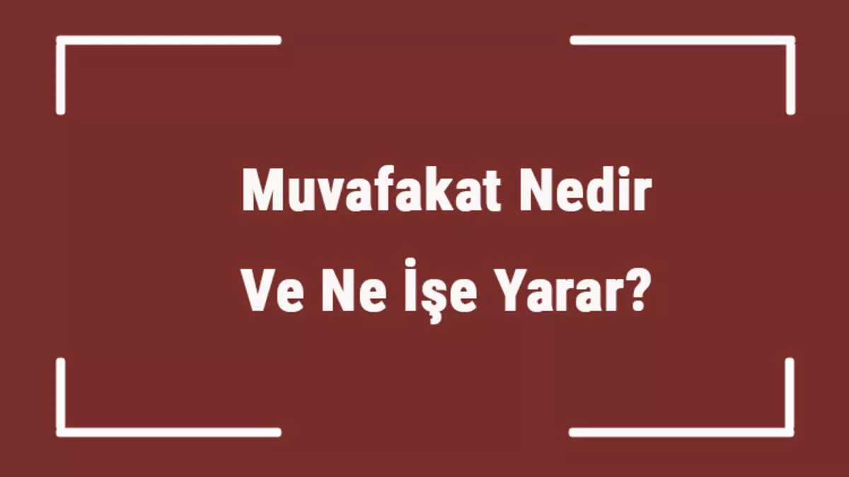 Seyahat Muvafakatnamesi Nedir?