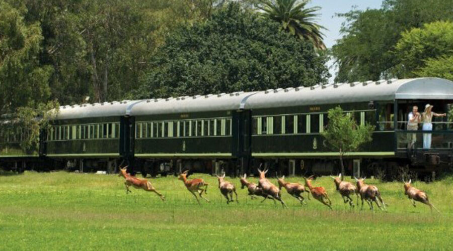 Lüks Rovos Treni İle Güney Afrika ve Safari Turu