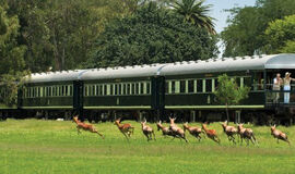 Lüks Rovos Treni İle Güney Afrika ve Safari Turu